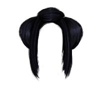 Download Hair Free Png Photo Images And Clipart Freepngimg