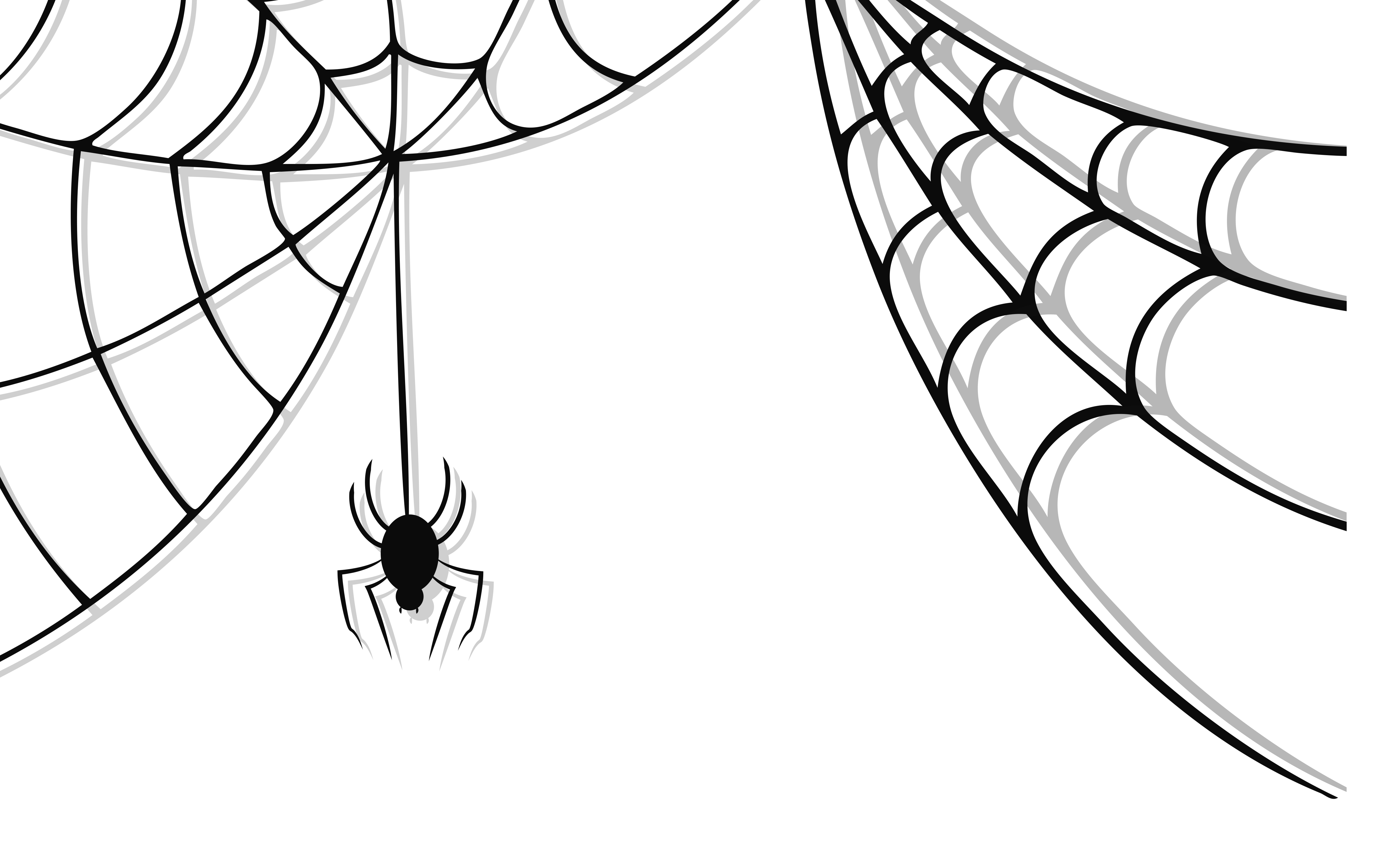 Halloween Spider Picture PNG Image