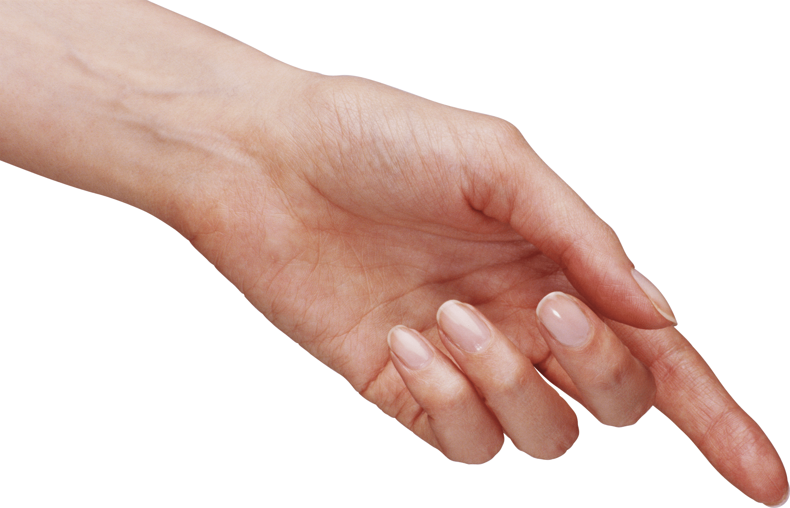 Hands Png Hand Image  PNG Image