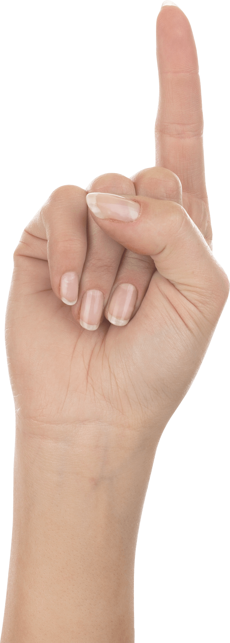 Hands Png Hand Image  PNG Image