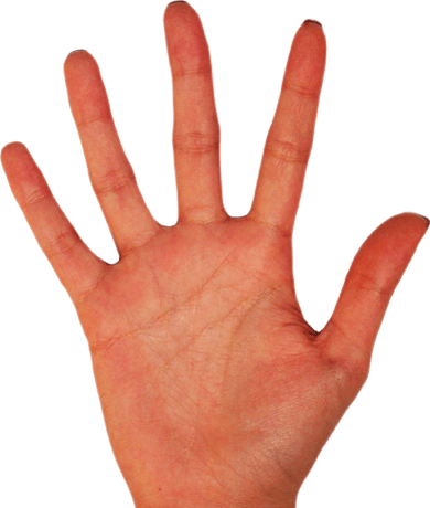 Palm Hands Png Hand Image  PNG Image
