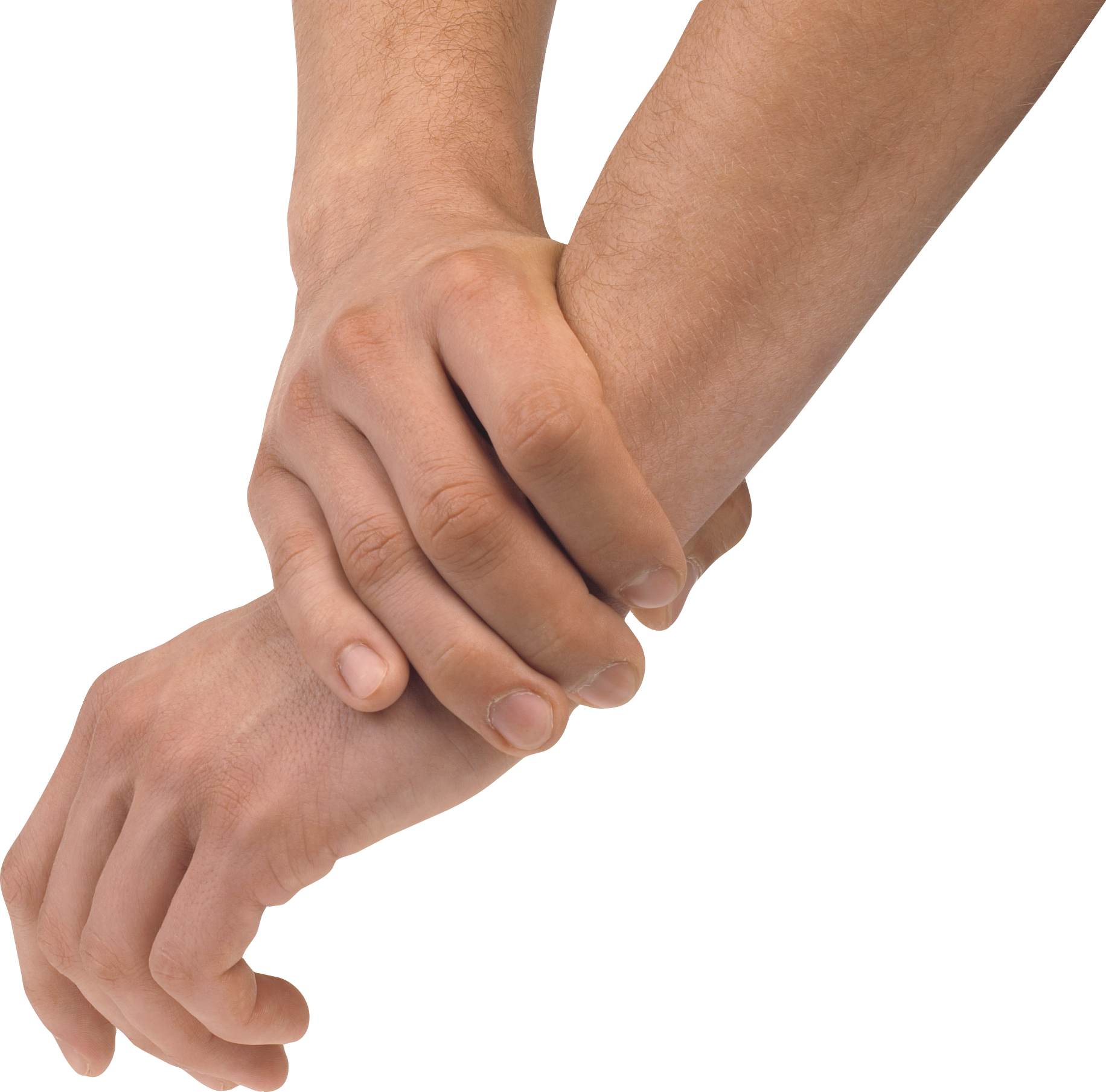Holding Female Hands Download Free Image PNG Image