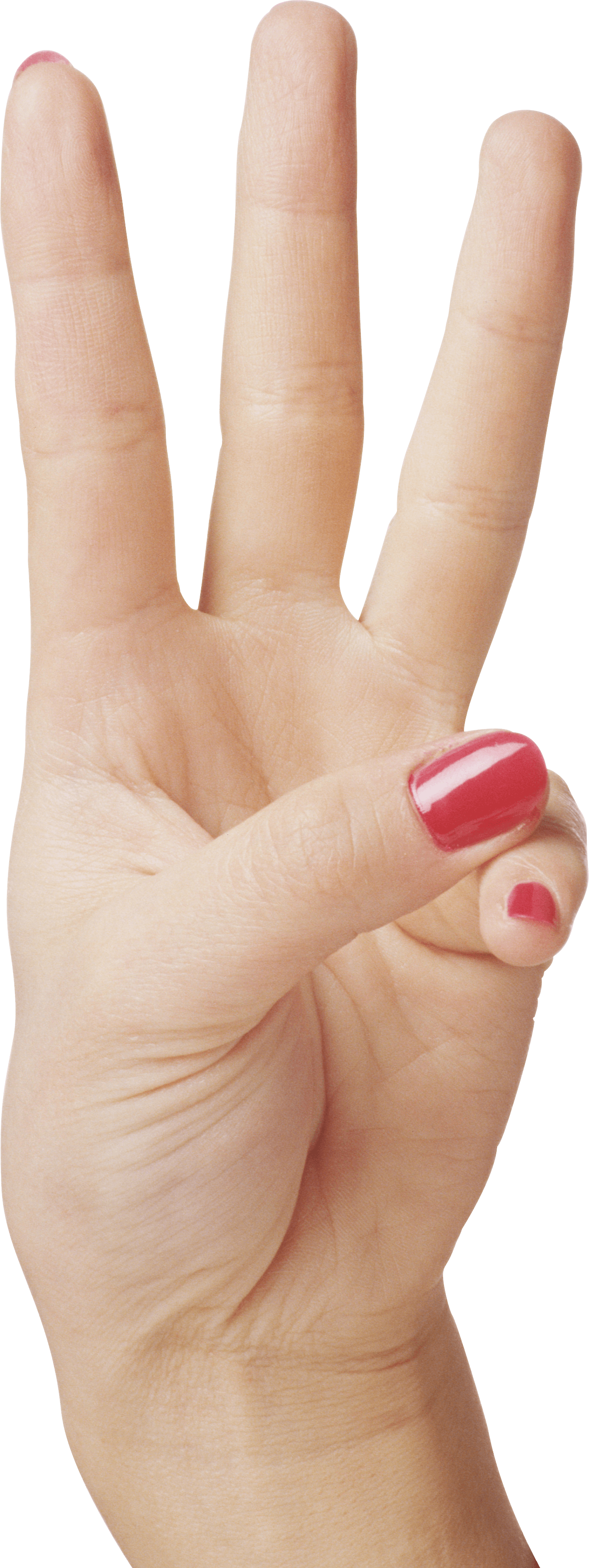 Hands Png Hand Image PNG Image