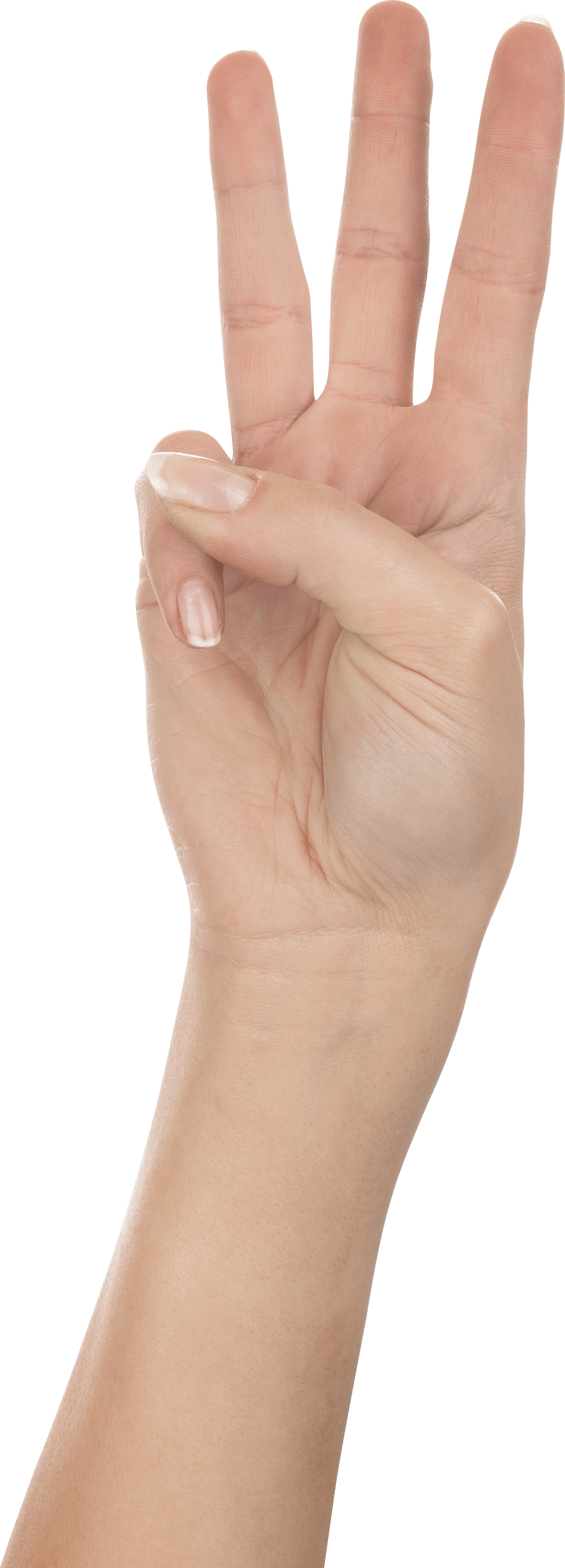 Three Finger Hand Hands Png Hand Image PNG Image