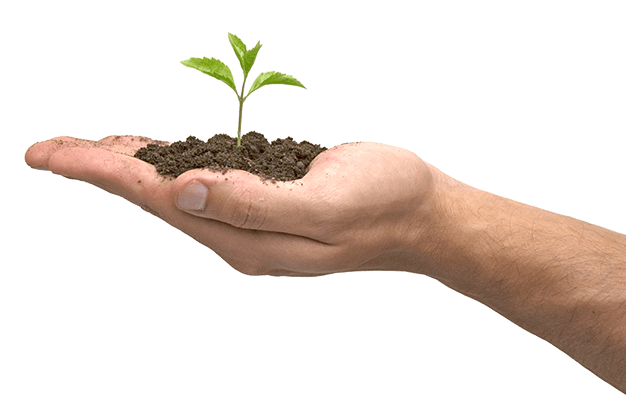 Little Green Sprout Hands Png Hand Image PNG Image