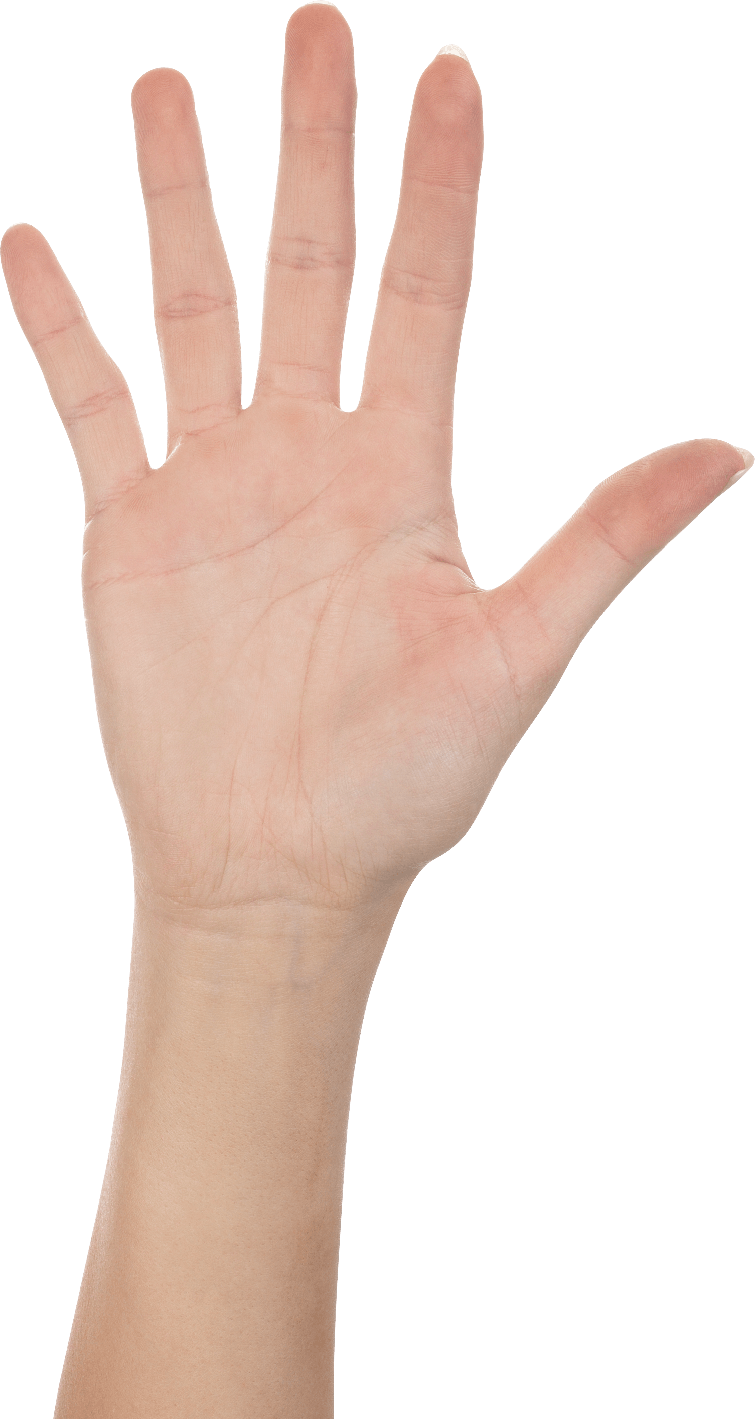 Hands Png Hand Image PNG Image