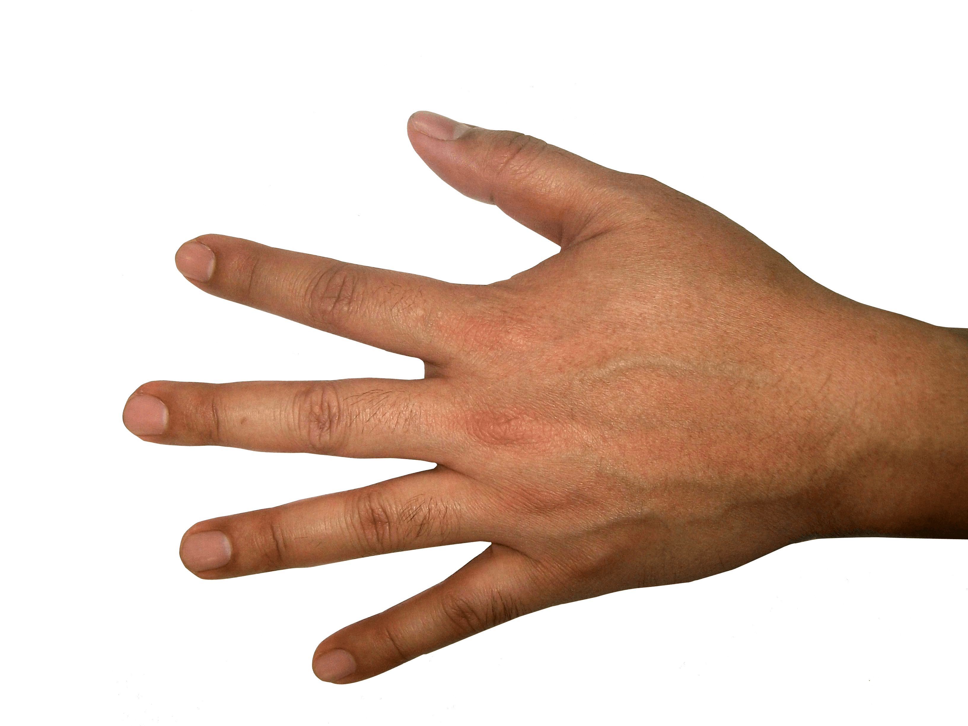 Hands Png Hand Image PNG Image