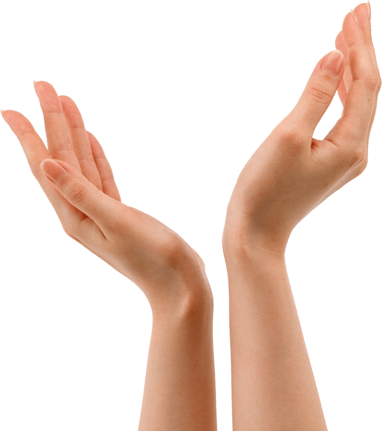 Hands Png Hand Image PNG Image