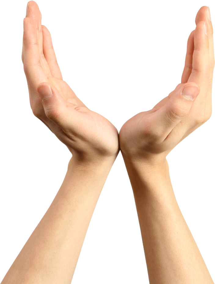 Hands Png Hand Image PNG Image