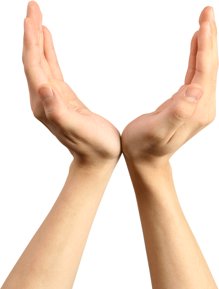 Hands Png Hand Image  PNG Image