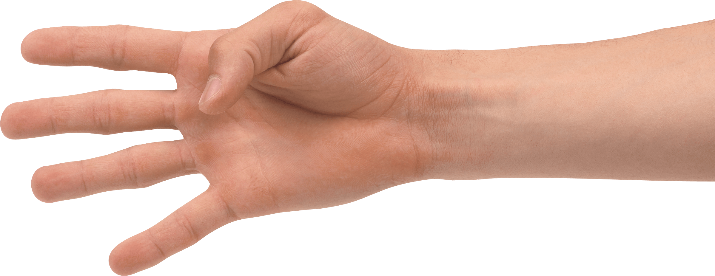 Hands Png Hand Image PNG Image
