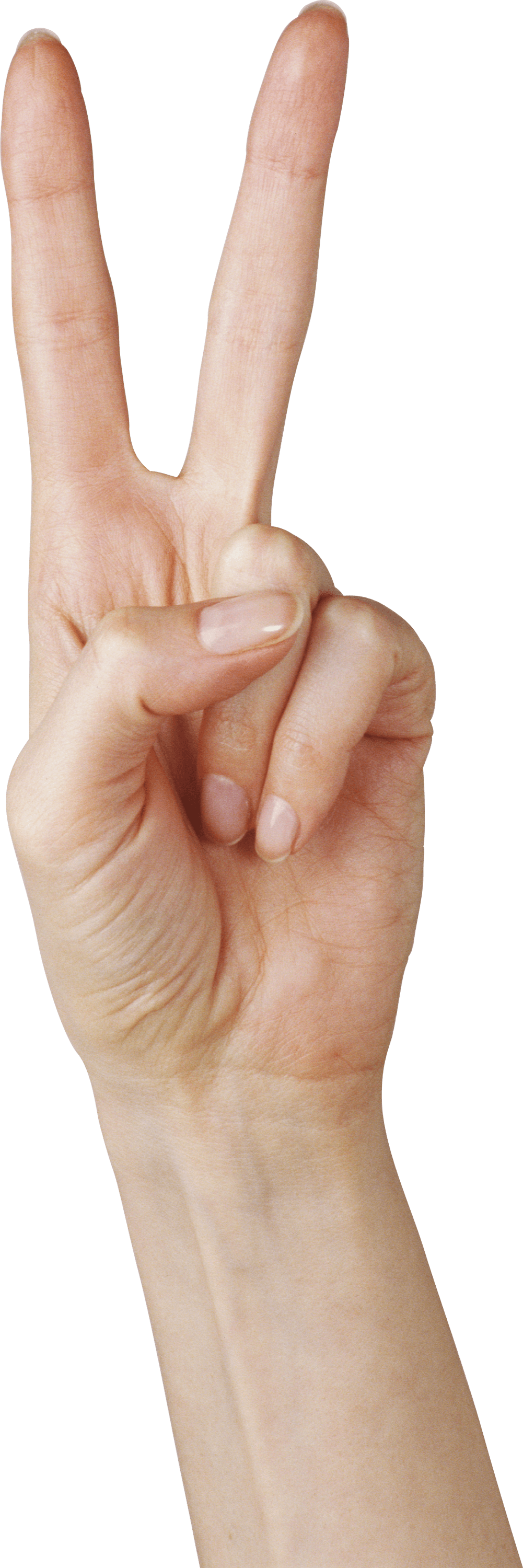 Hands Png Hand Image PNG Image