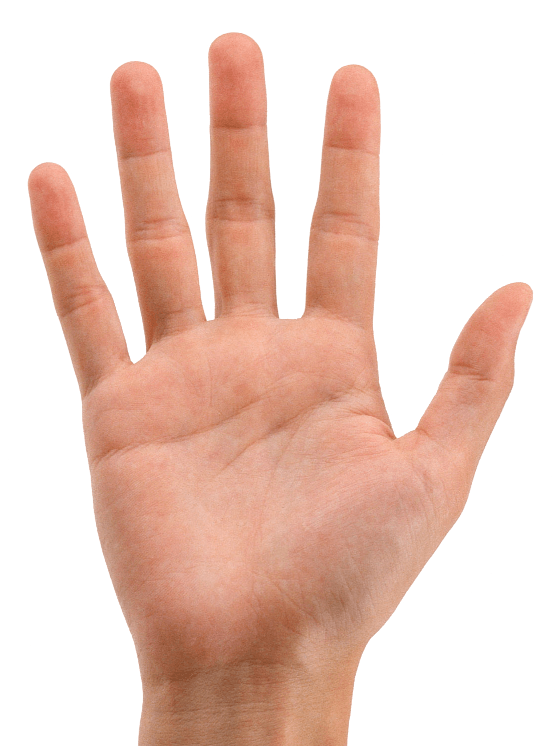 Hands Png Hand Image Transparent PNG Image
