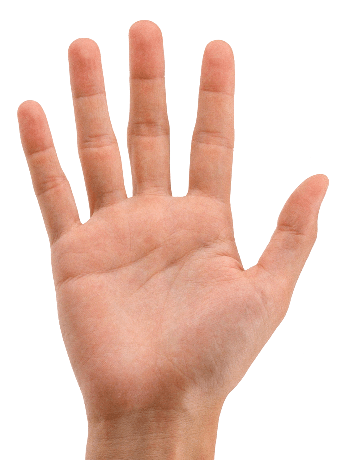 Hands Png Hand Image  PNG Image