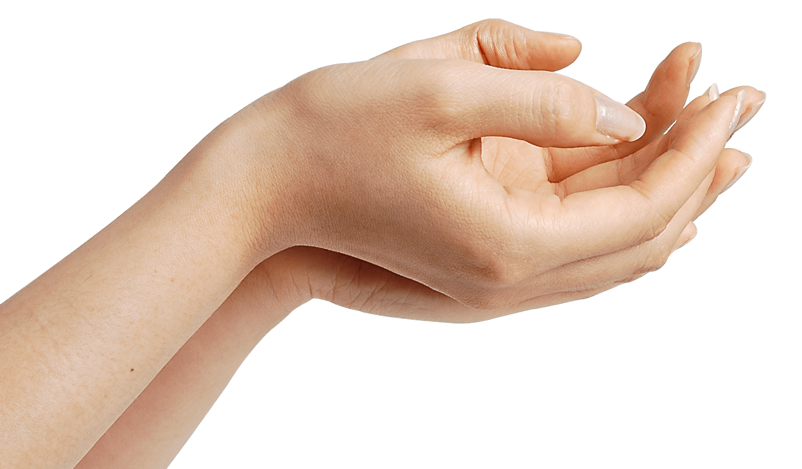 Hands Png Hand Image PNG Image