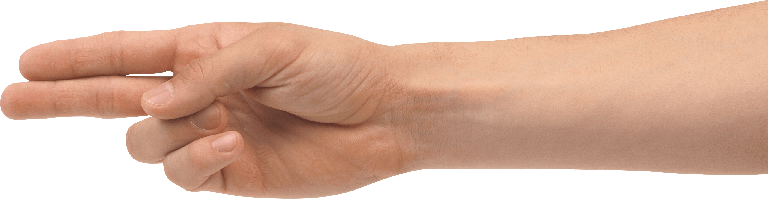 Hands Png Hand Image PNG Image