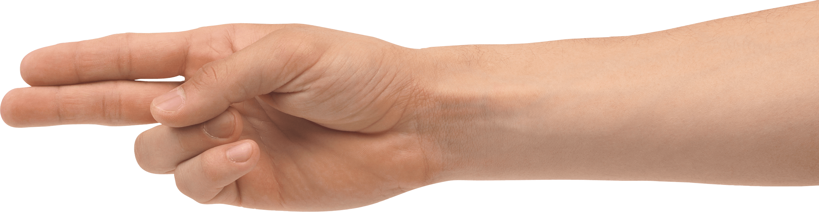 Hands Png Hand Image  PNG Image