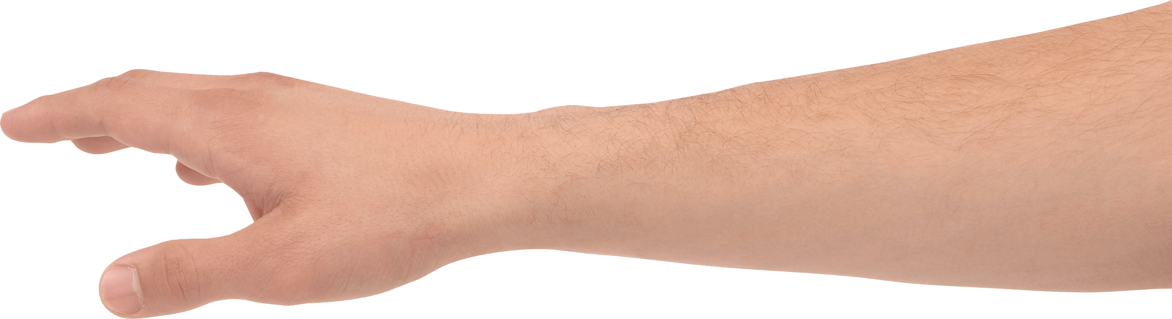 Hands Png Hand Image  PNG Image