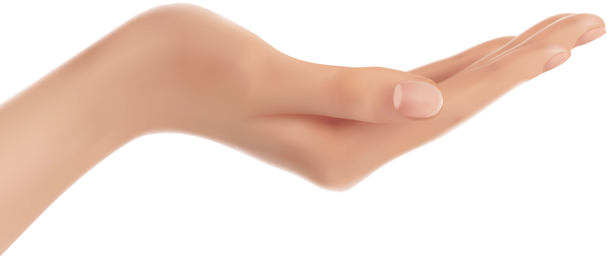 Hands Png Hand Image PNG Image