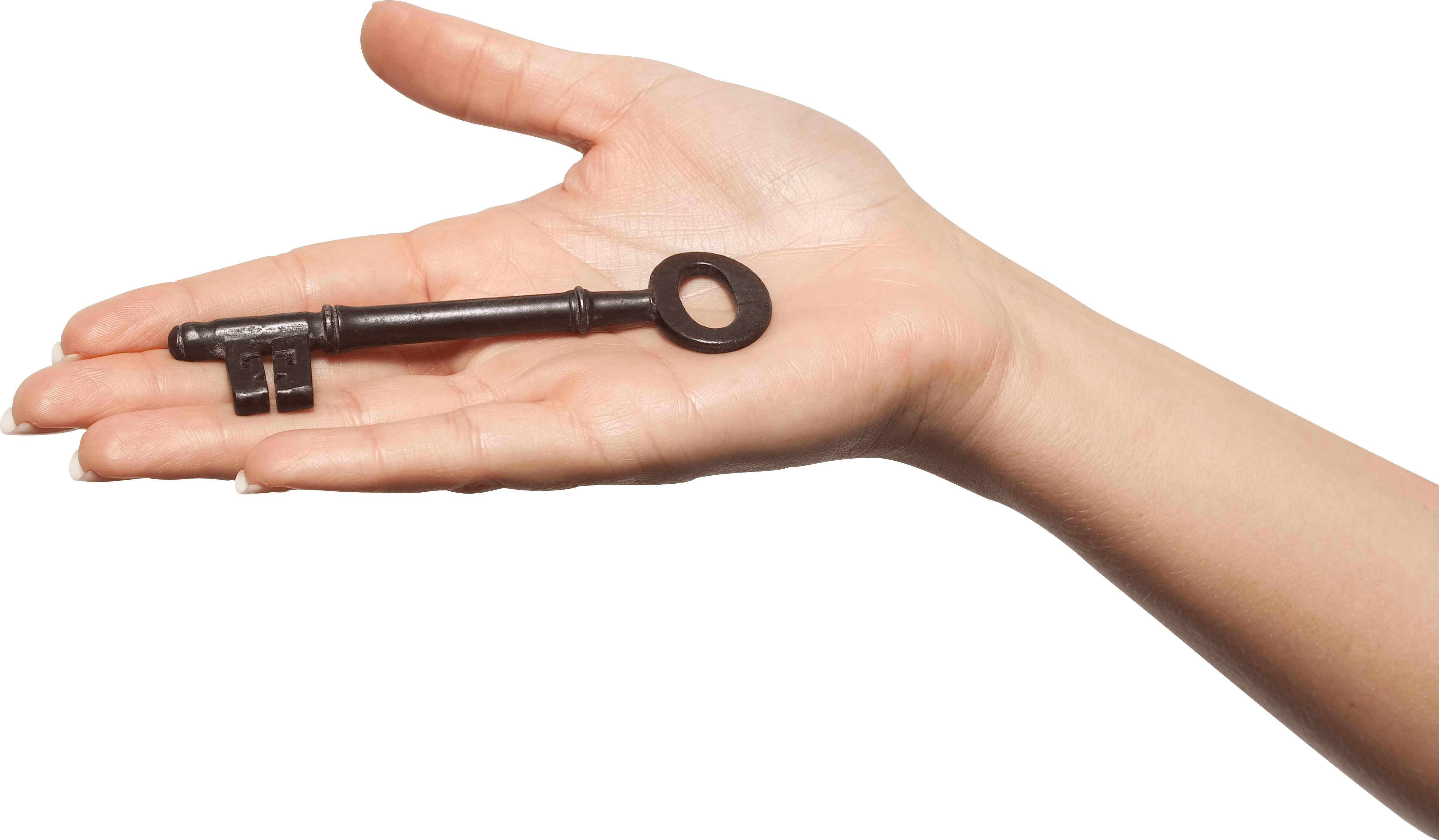 Hands Png Hand Image PNG Image