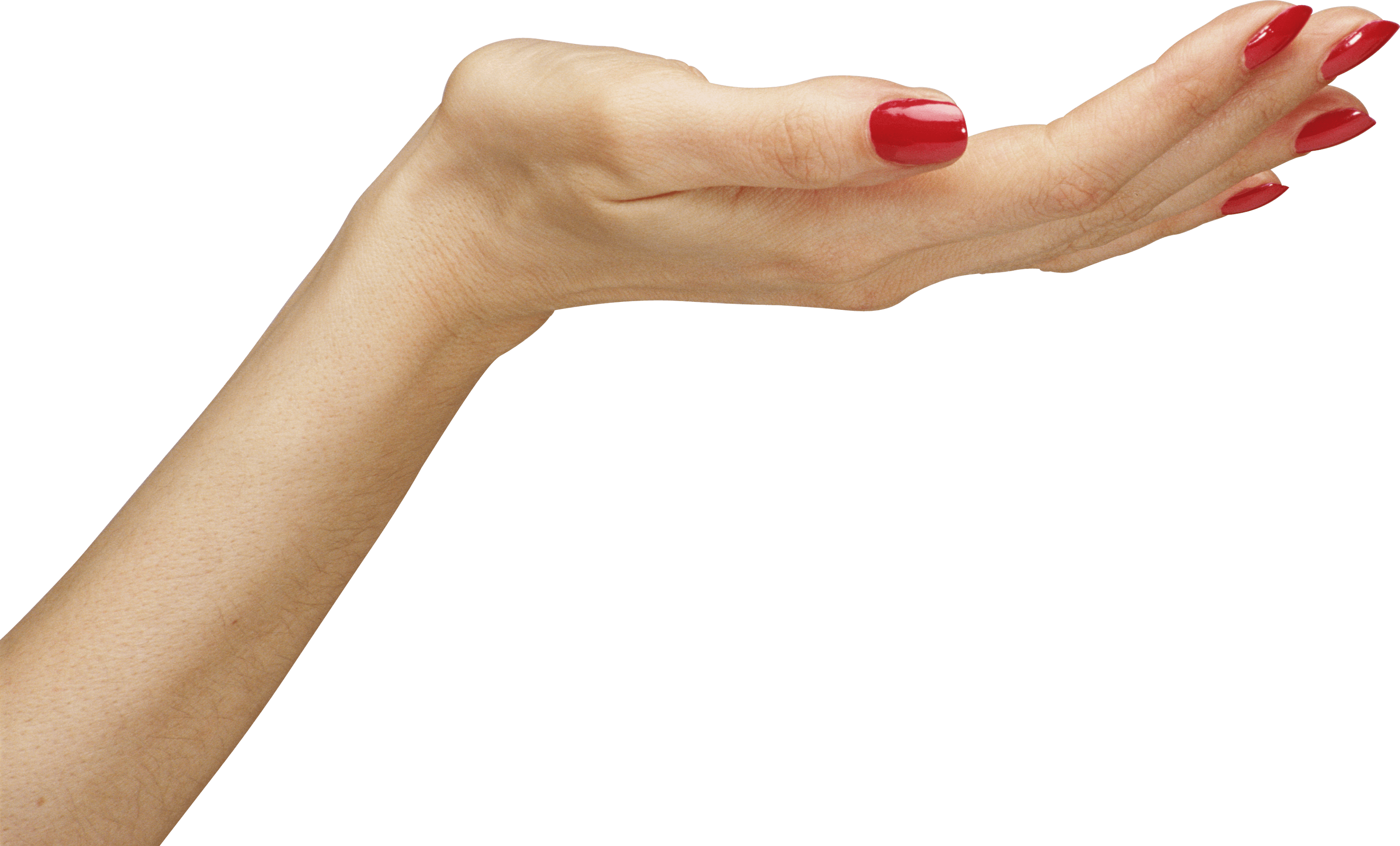 Hands Png Hand Image PNG Image