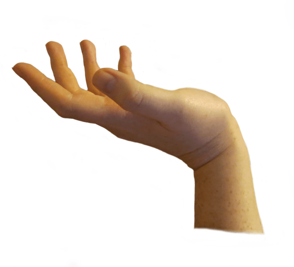 Hands Png Hand Image PNG Image