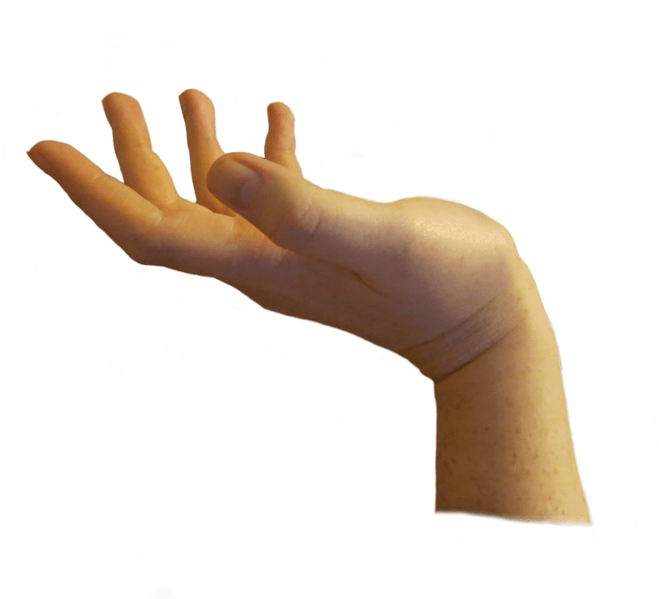 Hands Png Hand Image  PNG Image