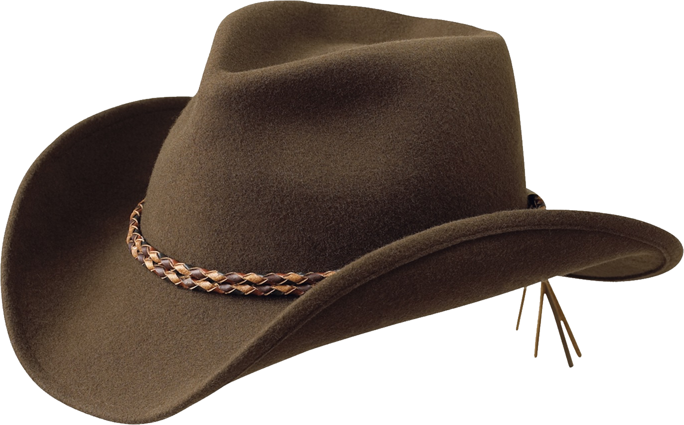 Дикая шляпа. Шляпа Артура Моргана. Ковбойская шляпа. Шляпа Стетсон. Шляпа ковбоя.