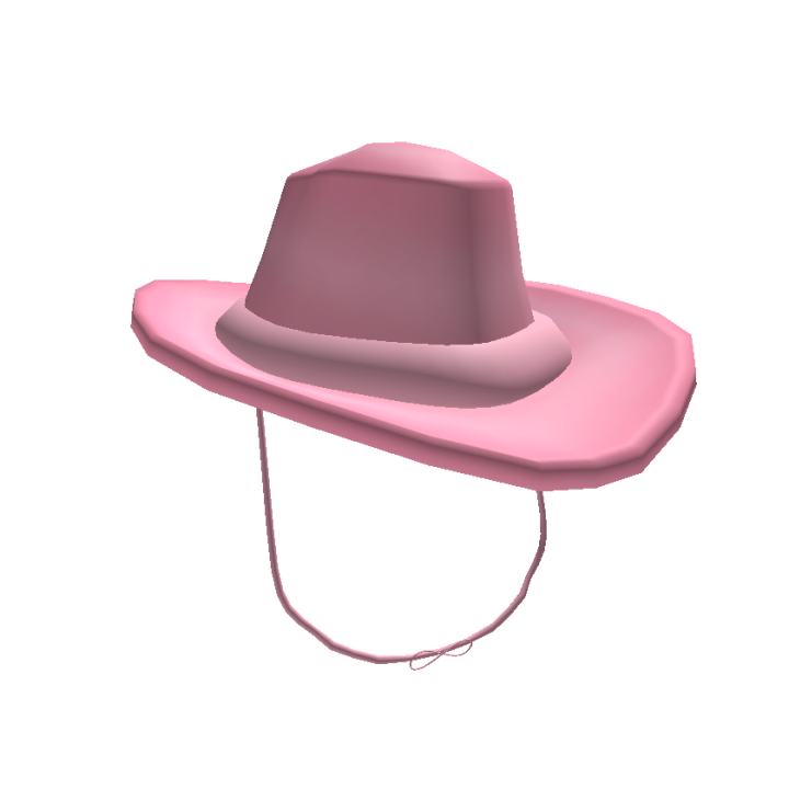 Pink Vector Hat Free PNG HQ PNG Image