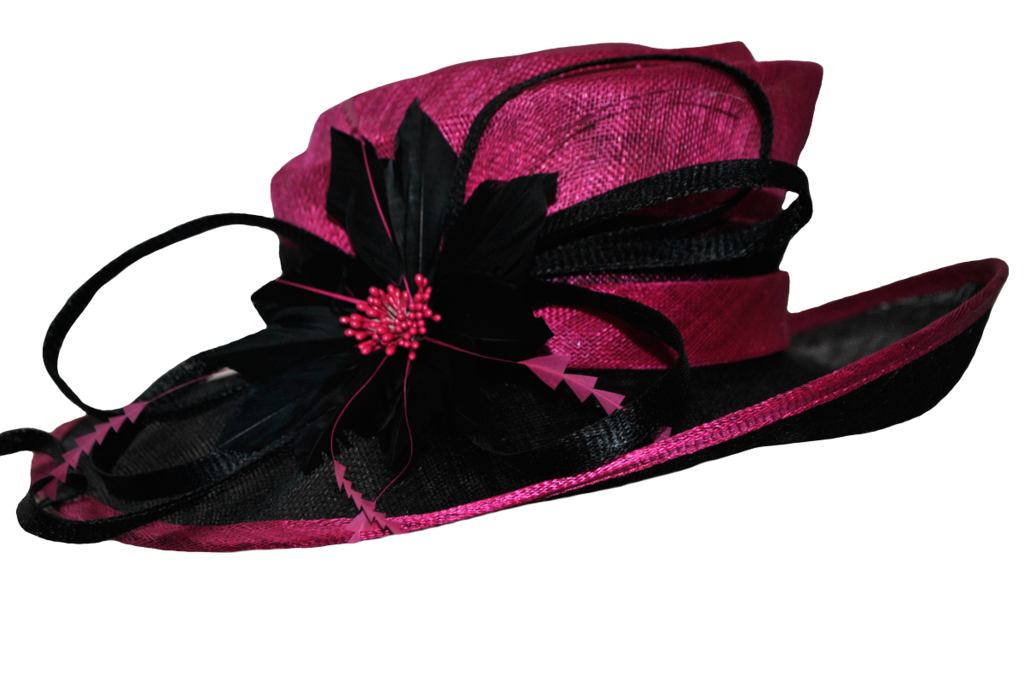 Fancy Hat Transparent PNG Image