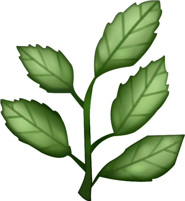 Herbs Leaf HQ Image Free PNG Image