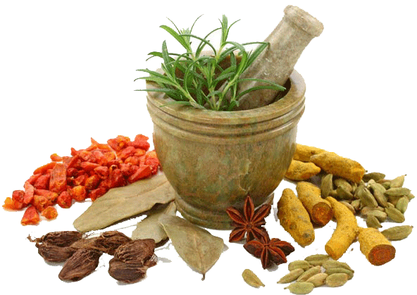 Medicine Herbs Free PNG HQ PNG Image