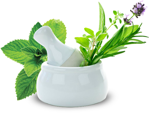 Medicine Herbs Pic Free Download PNG HQ PNG Image