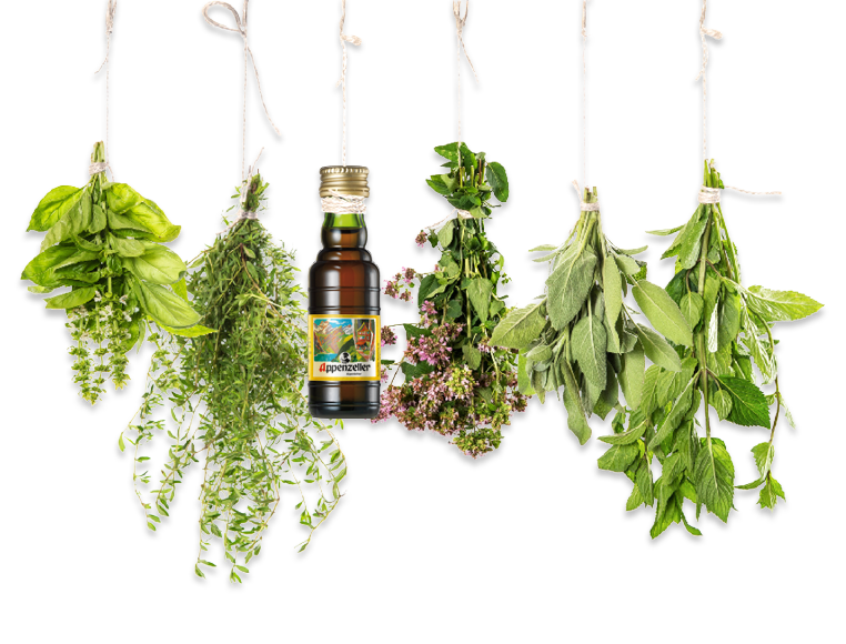 Medicine Herbs Free Download PNG HQ PNG Image