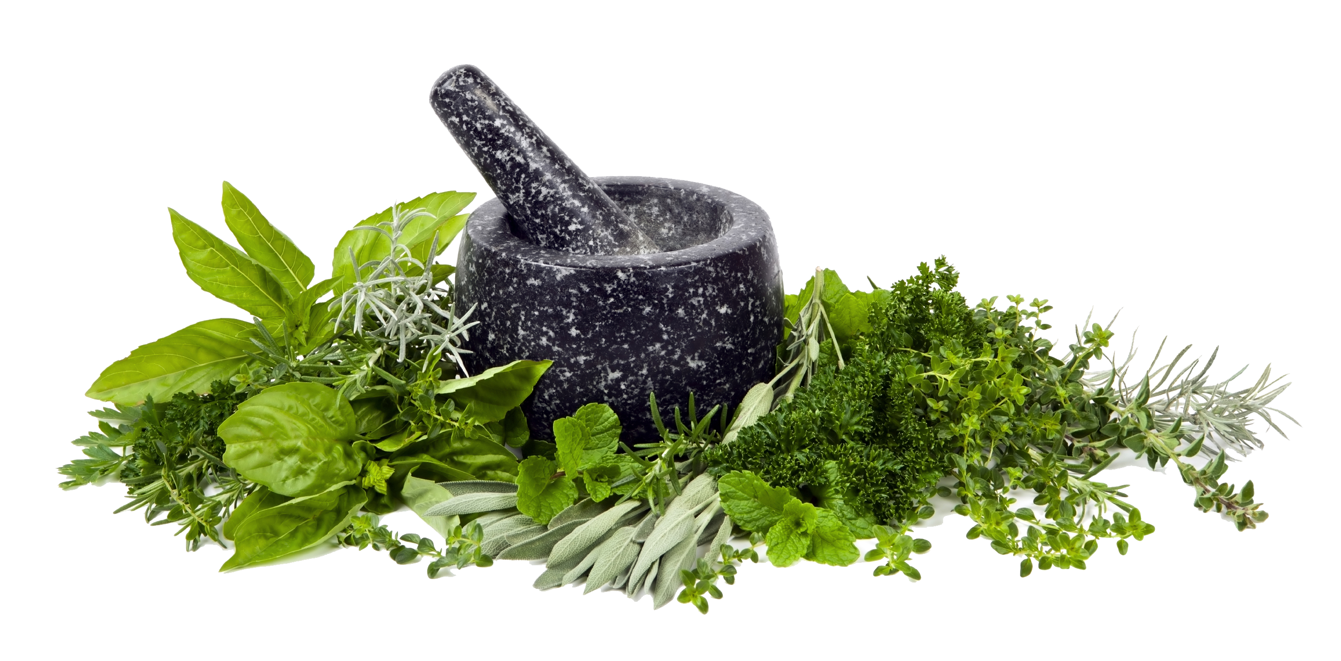 Herbs Image PNG Image