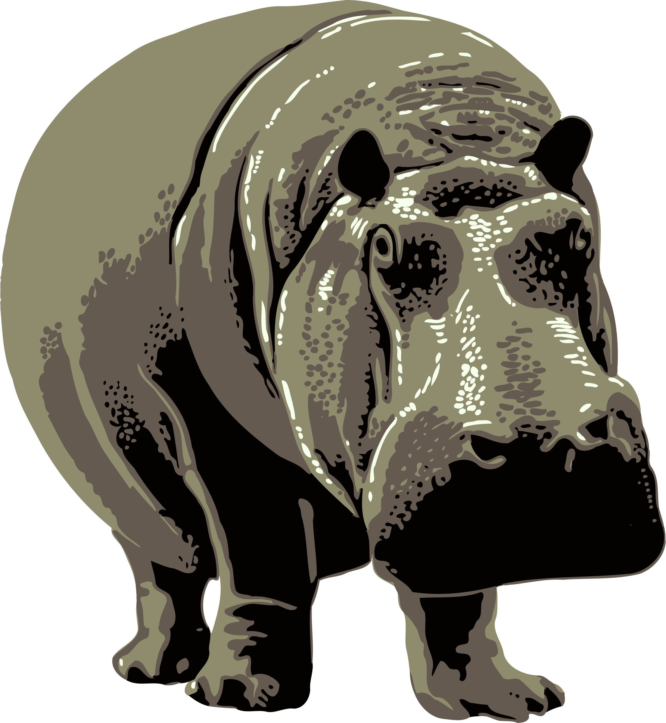 Hippo HD Image Free PNG Image