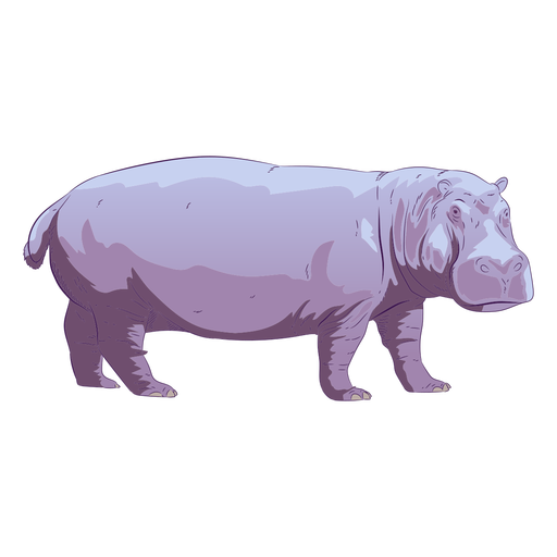 Hippo Vector Free Download PNG HD PNG Image
