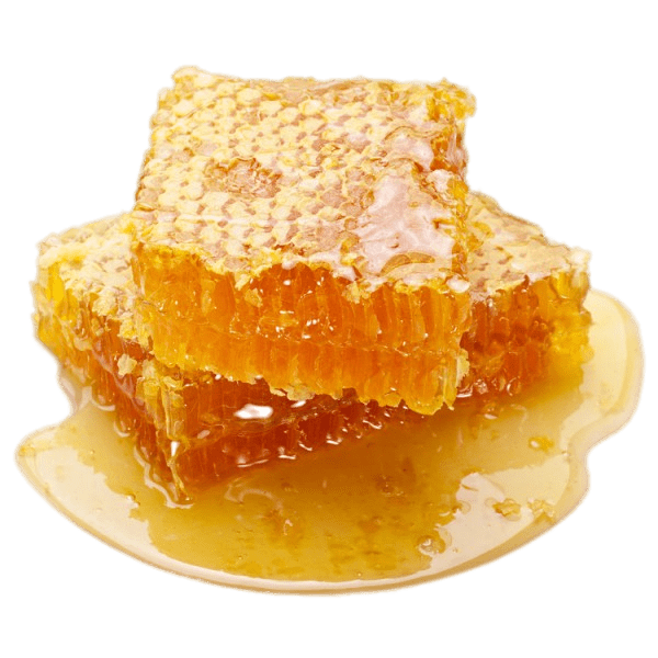 Organic Honeycomb Free HD Image PNG Image