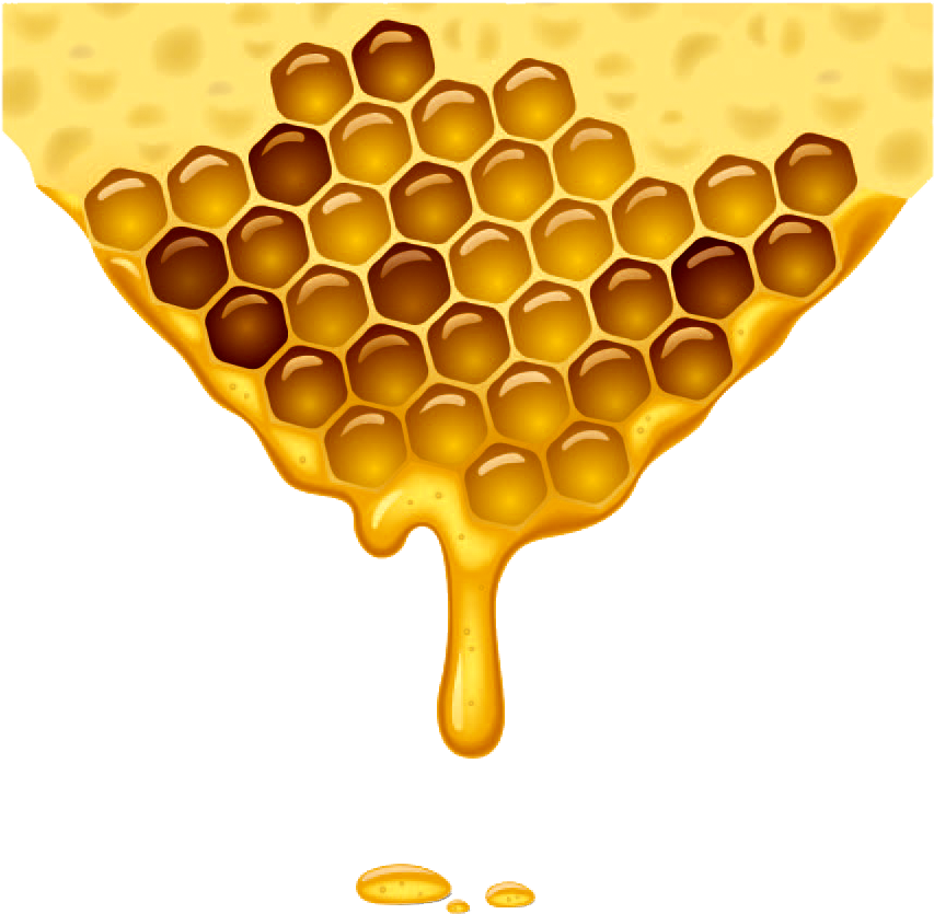 Photos Organic Honeycomb HD Image Free PNG Image