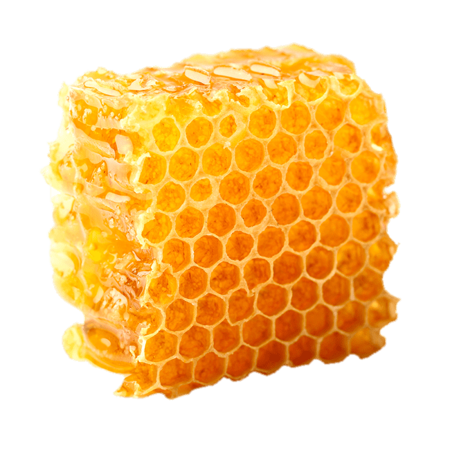 Organic Honeycomb Free HD Image PNG Image