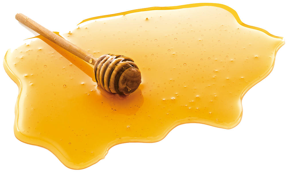 Honey Clipart PNG Image