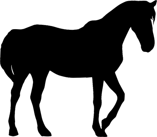 Horse Arabian Black HQ Image Free PNG Image