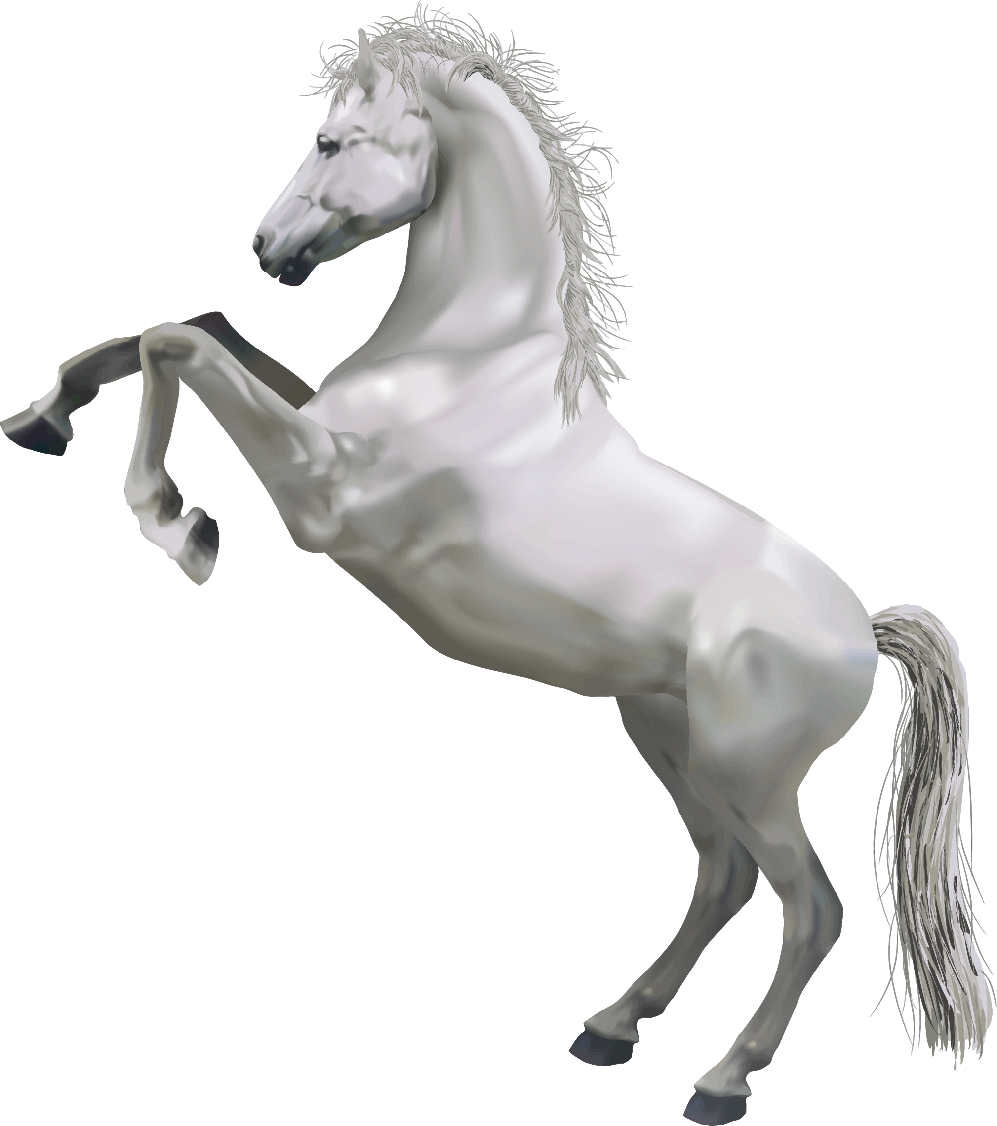 Horse PNG Image