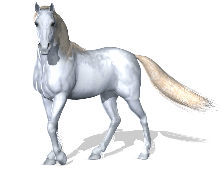 Horse Png Image PNG Image