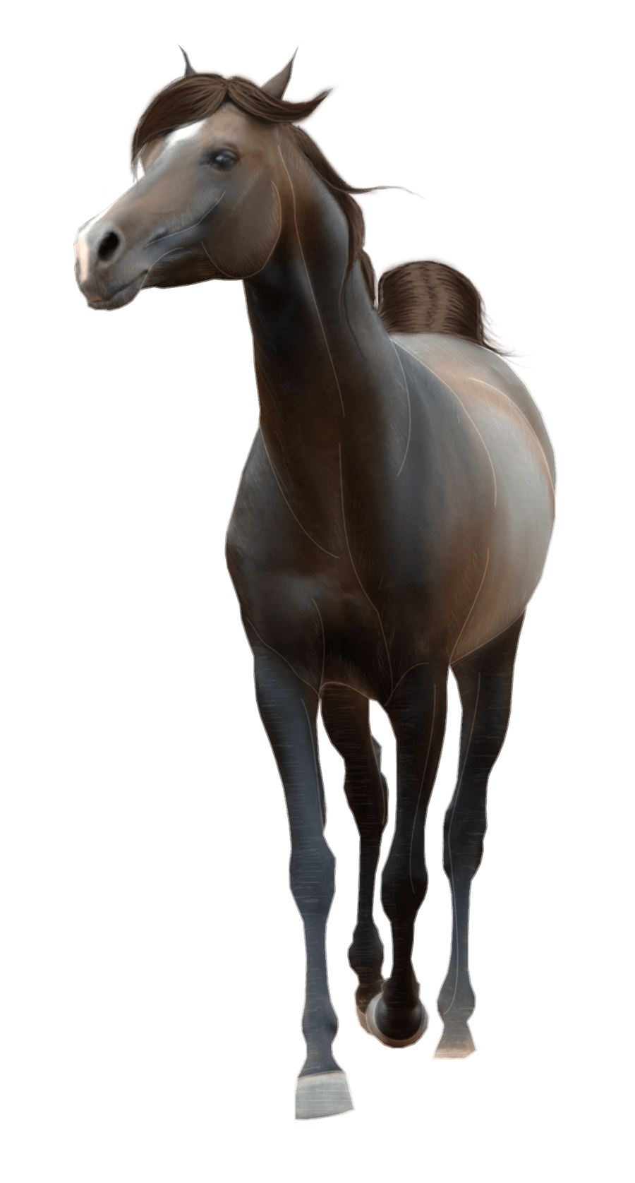 Horse Png Image PNG Image