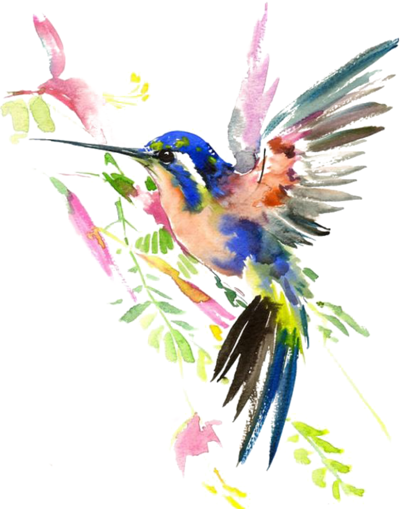 Watercolor Flower Hummingbird Free HD Image PNG Image