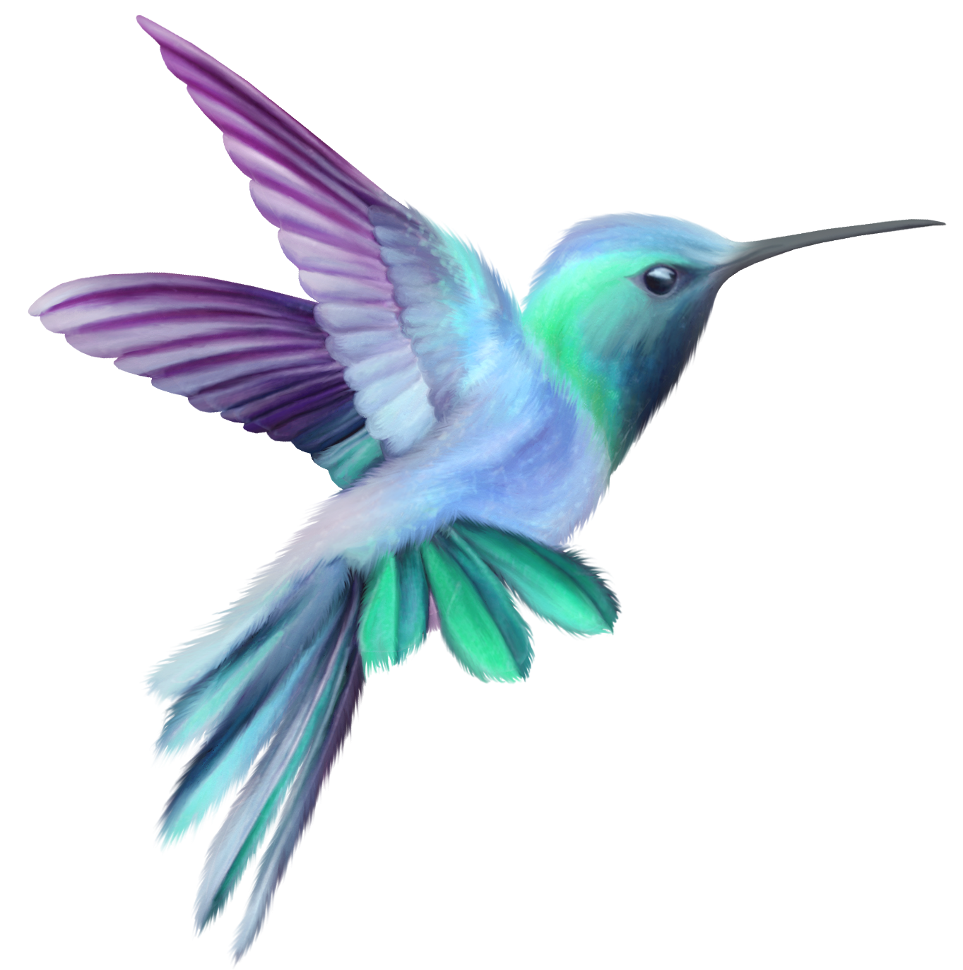Watercolor Flying Hummingbird Free HQ Image PNG Image