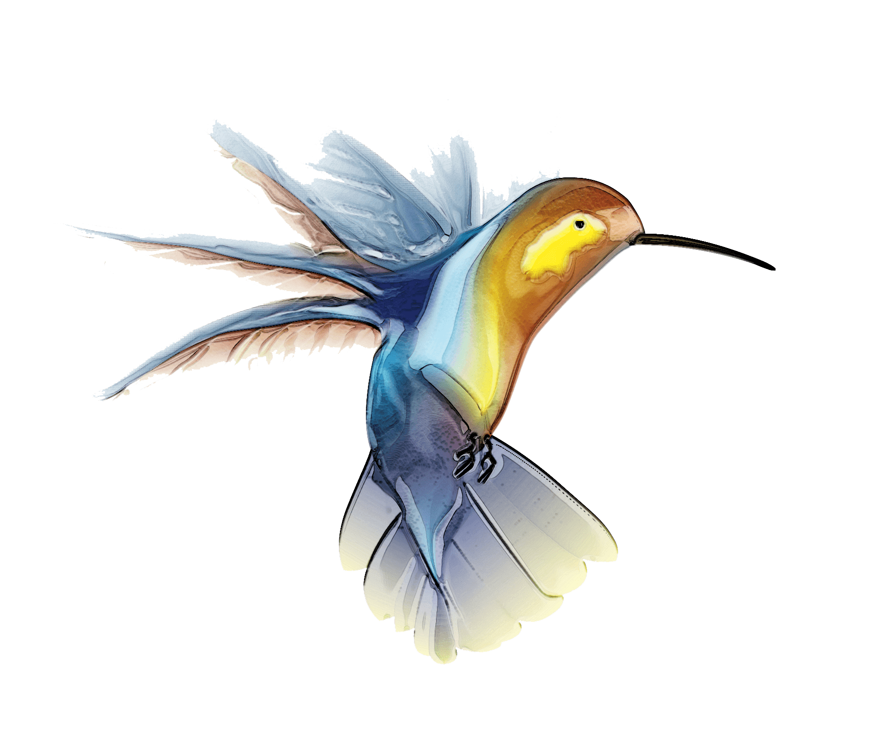 Watercolor Flying Hummingbird Free HQ Image PNG Image