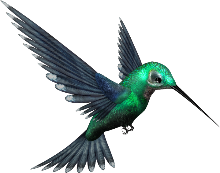 Turquoise Flying Hummingbird Free Download PNG HQ PNG Image