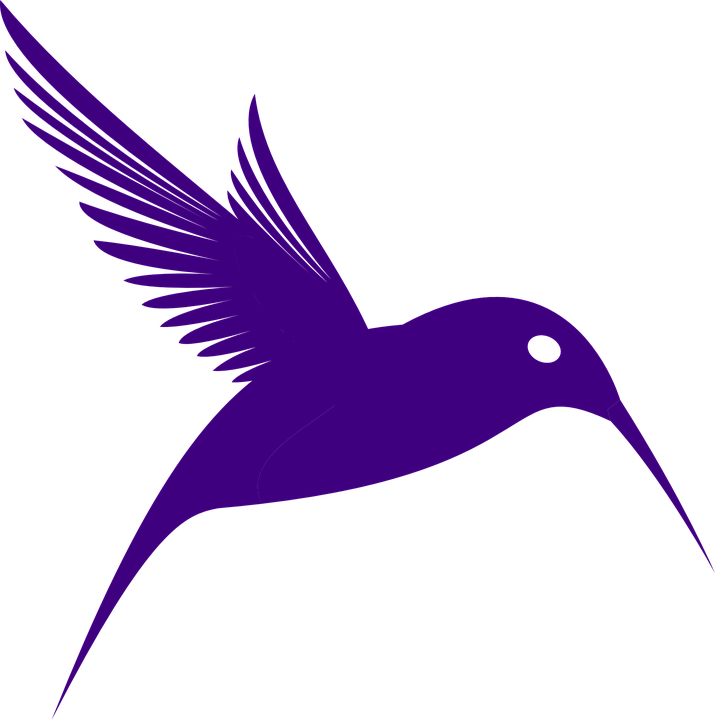 Watercolor Vector Hummingbird PNG Download Free PNG Image